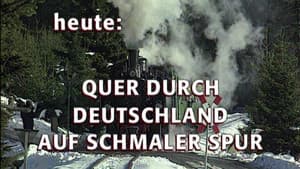 Episode 28
