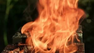 Immunity Challenge: Hibachi