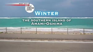 Winter - The Southern Island of Amami-Oshima