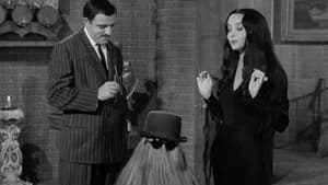 My Fair Cousin Itt