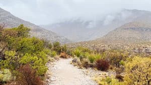 Guadalupe Mountains