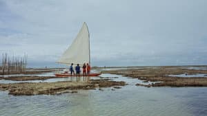 Northern Winds