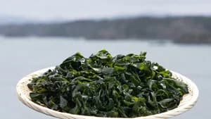 Wakame