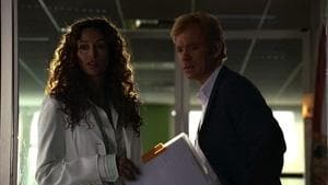 Murder In A Flash