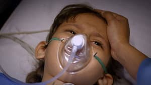 Titli's Transplant