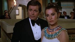 Murder Wrap