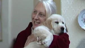 The Dog