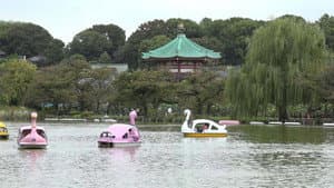 Ueno Park - At the Crossroads of Edo and Meiji