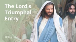 Matthew 21 | The Lord's Triumphal Entry into Jerusalem