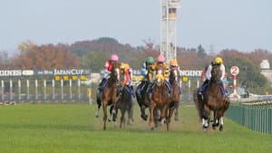 Keyword: Horse Racing