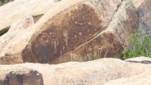 Petrified Forest