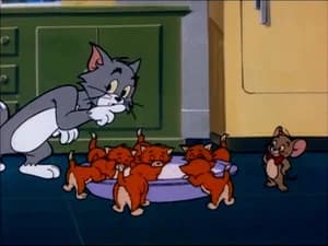 The Kitten Sitters