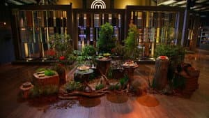 Elimination Challenge: Aussie Native Ingredients