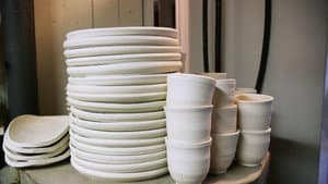 The Plate Collective