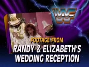 September 7, 1991 - Superstars of Wrestling 262