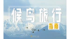 [Planet Special] Some skills that you won’t be able to learn even if you learn them…
