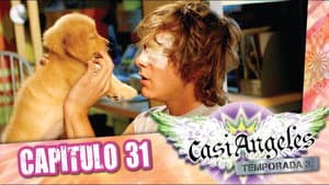 Episode 31: DOG THAT BARKS
