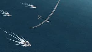 The Birdman Contest Bombing Case (2)