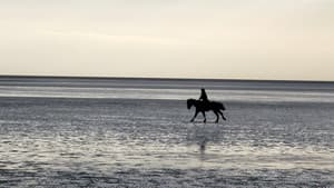 Estuaries