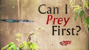 Can I Prey First?