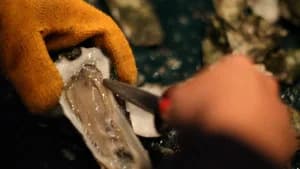 Oyster Roast in Charleston