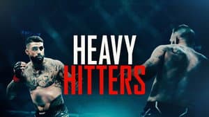 Heavy Hitters