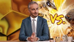 Bee vs. Bark Beetle