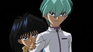 Noah's Secret