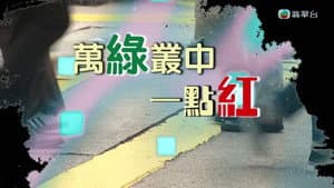 Episode 256