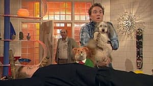 Dog Gone