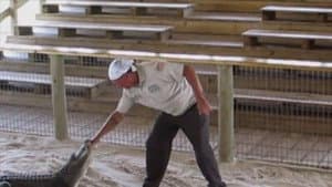Homeowner vs. Handyman