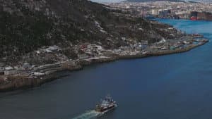 Call Of The Sea