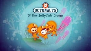 The Jellyfish Bloom