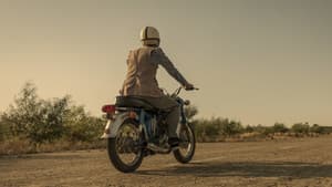 Motorise the Masses