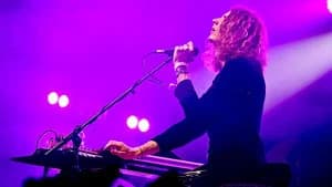 Mystery Jets