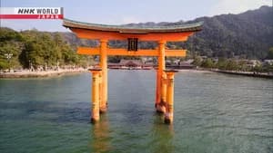 Torii
