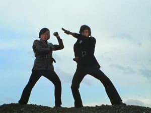 8 Kamen Riders