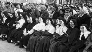 Catholics vs Protestants