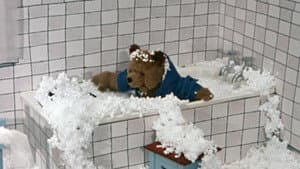 A Bear in Hot Water