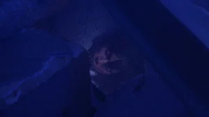 Tendou Must Die!!