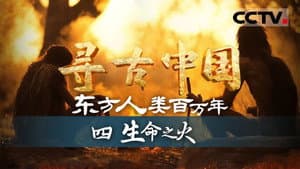 Episode 21