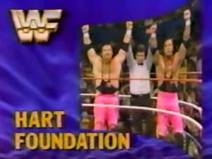 April 28, 1990 - Superstars of Wrestling 191