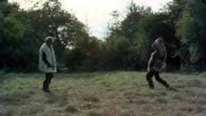 The Prisoner