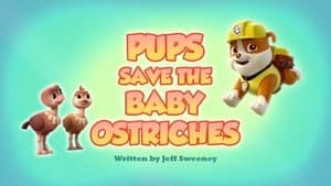 Pups Save the Baby Ostriches