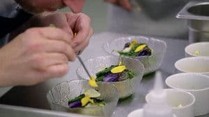 North West England: Starter and Fish