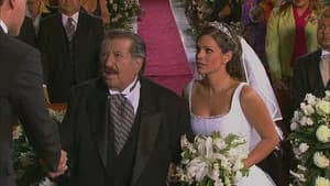 The wedding day [El día de la boda - Episode 172]