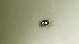 The stubborn spider