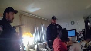 Pilot on Shrooms