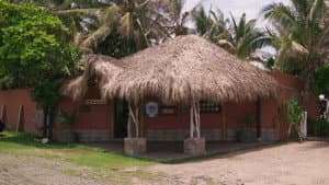 Aguas con el Coco