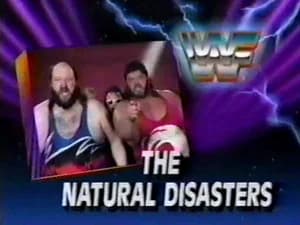 June 29, 1991 - Superstars of Wrestling 252